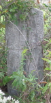 alexander-james-small.jpg (15292 bytes)