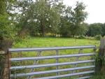 cemetery-entrance-small.jpg (19623 bytes)