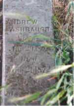 Ashbaugh-Andrew.jpg (383112 bytes)