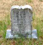 robinson-goldie-small.jpg (23855 bytes)